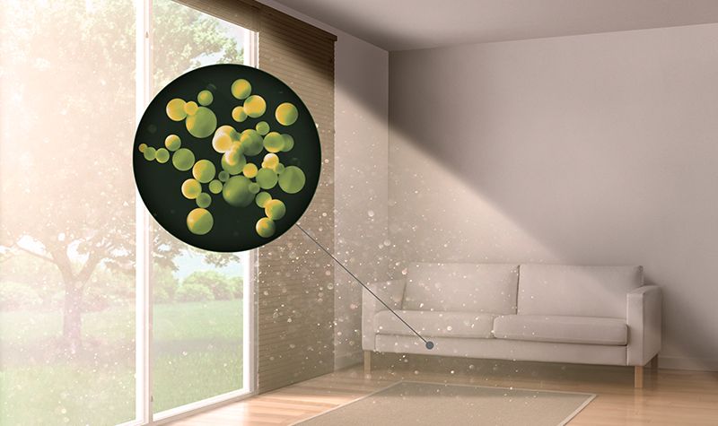 Seasonal allergy relief, treatments, and tips