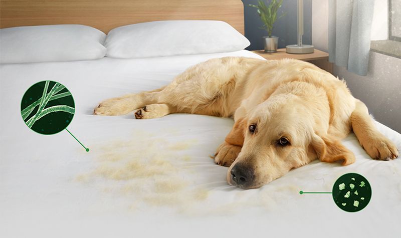 When do sesonal allergies end