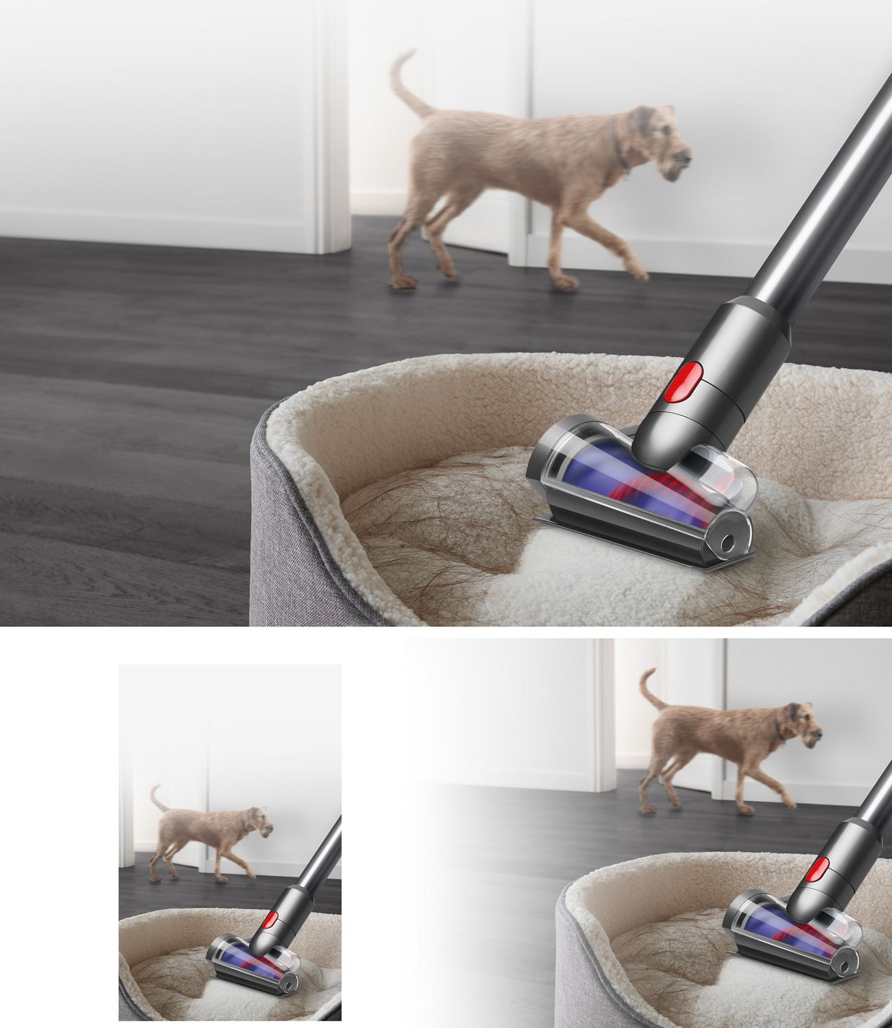 Haardüse reinigt ein Tierbett