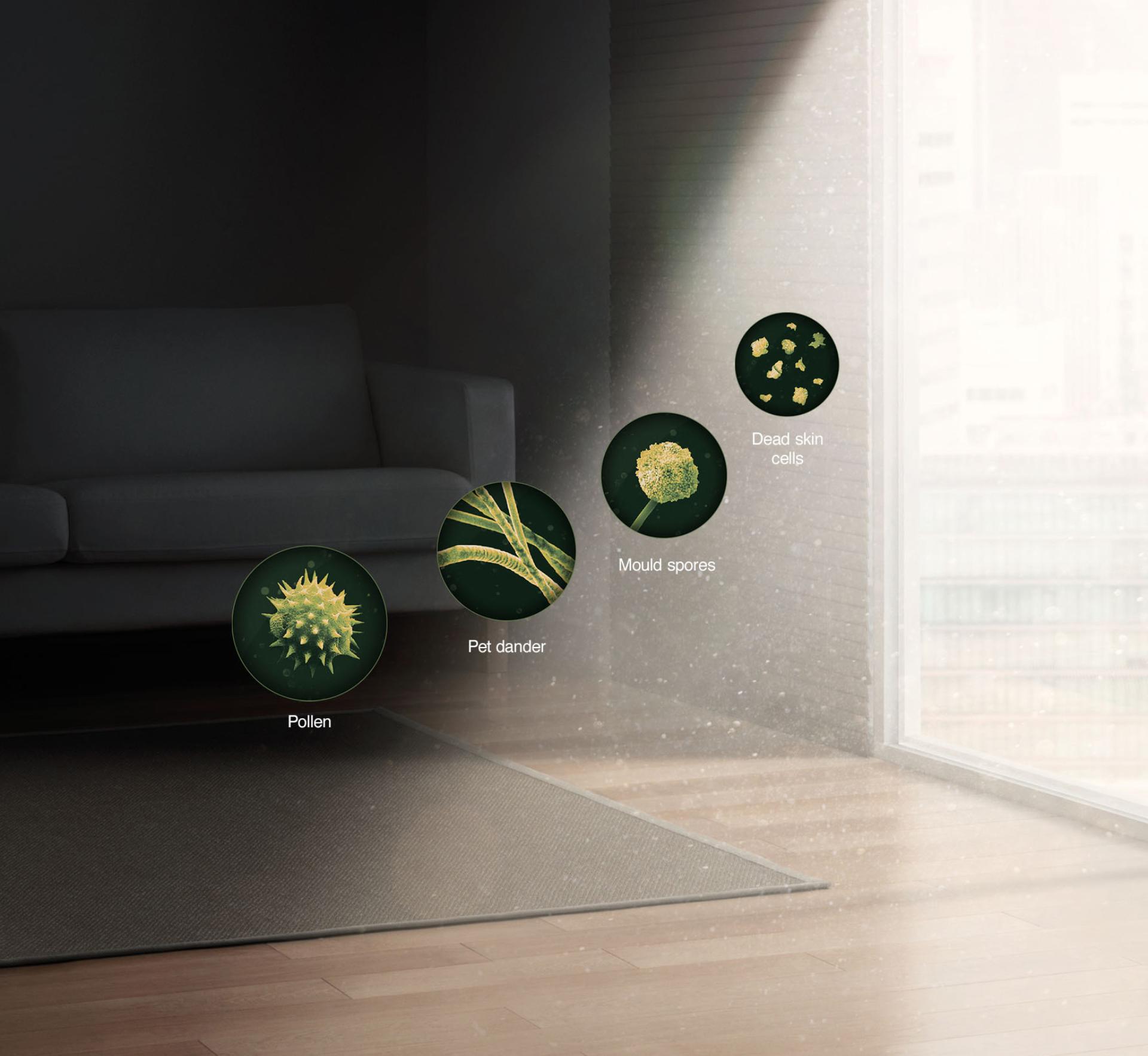 Allergern molecules infront of sun shining through window