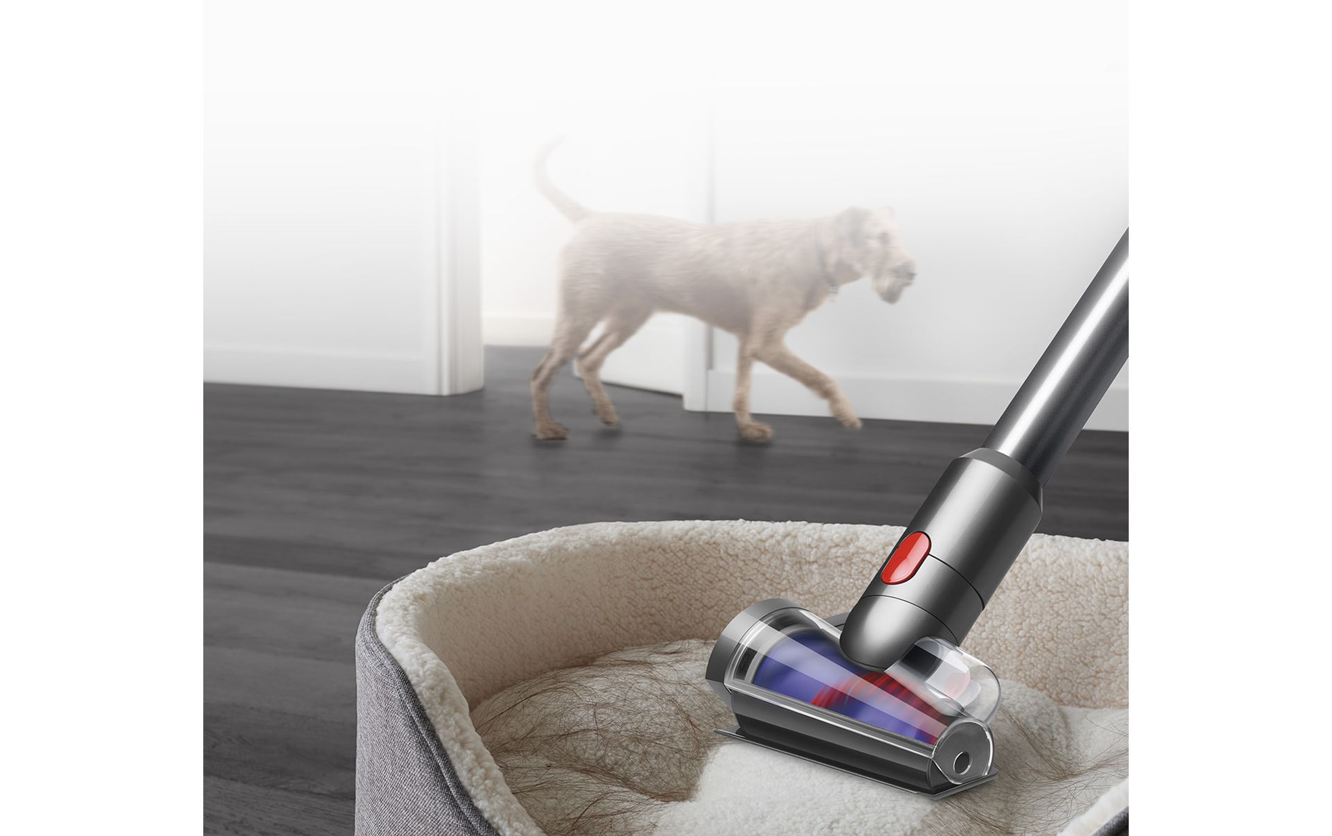 Dyson Outsize