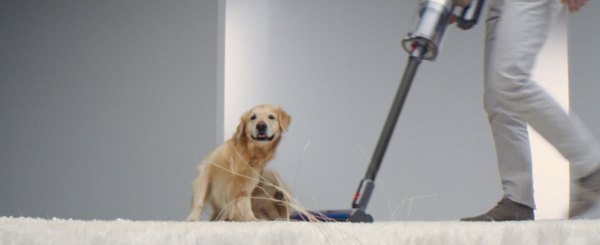 Eine Person saugt mit einem Dyson Staubsauger hinter einem Hund