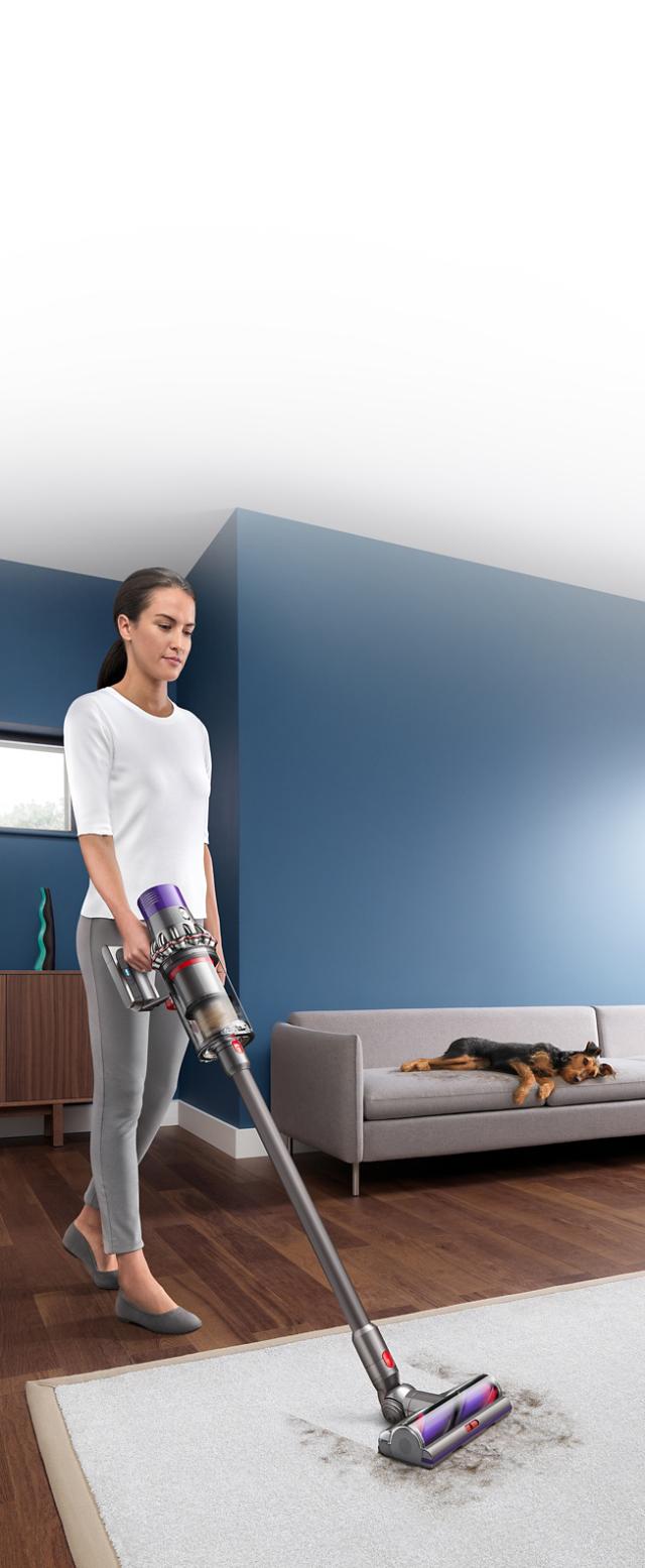 V10 Pet Owners, Best Dyson For Pets And Hardwood Floors