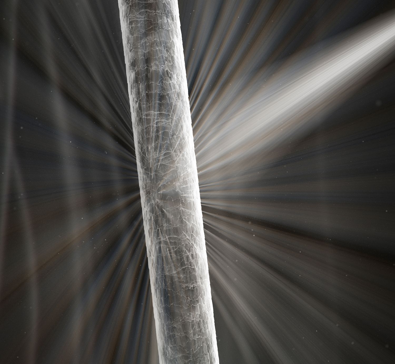 Seasonal allergy family preparation checklist