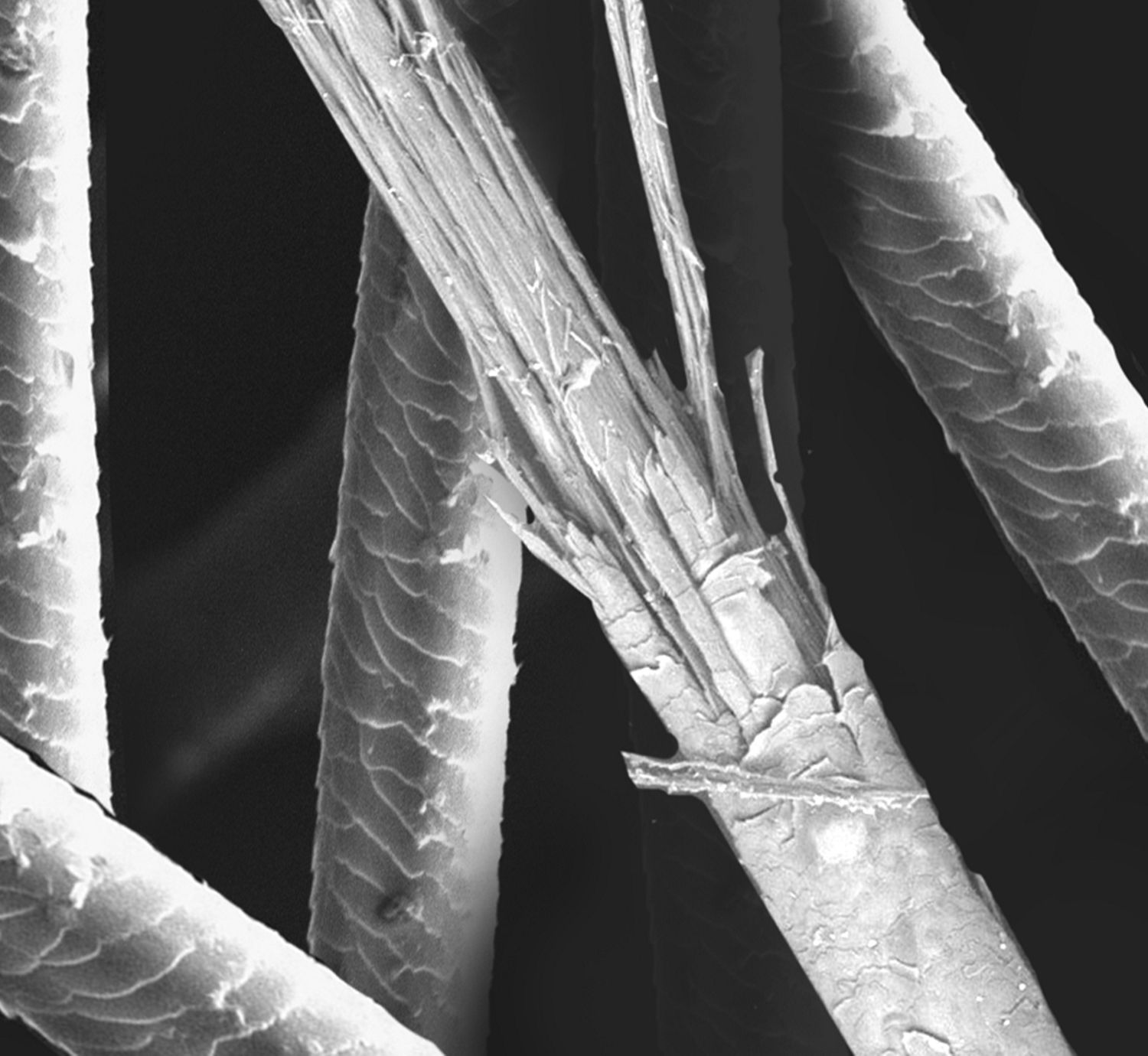 When do sesonal allergies end