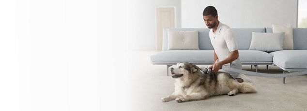 Dyson für Tierhaare