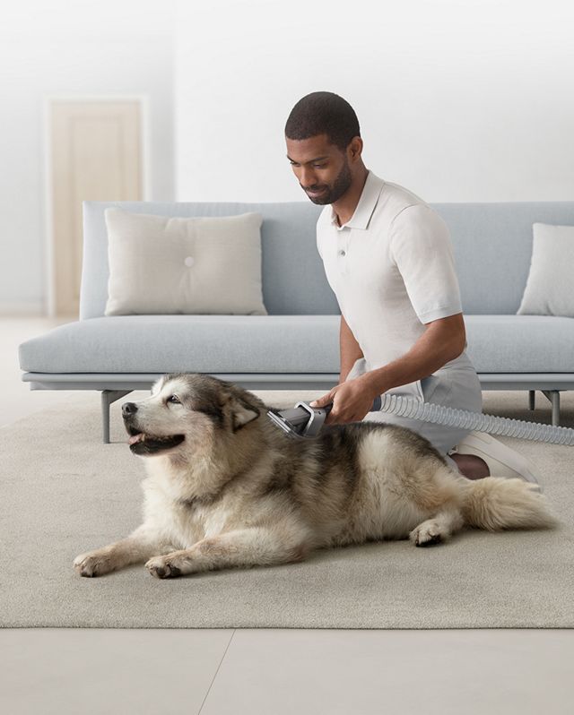 https://dyson-h.assetsadobe2.com/is/image/content/dam/dyson/us/campaigns/lm-assets/overview_4_fullwidth_dog-groom_569b_copper_v2.jpg?$responsive$&cropPathE=mobile&fit=stretch,1&fmt=pjpeg&wid=640