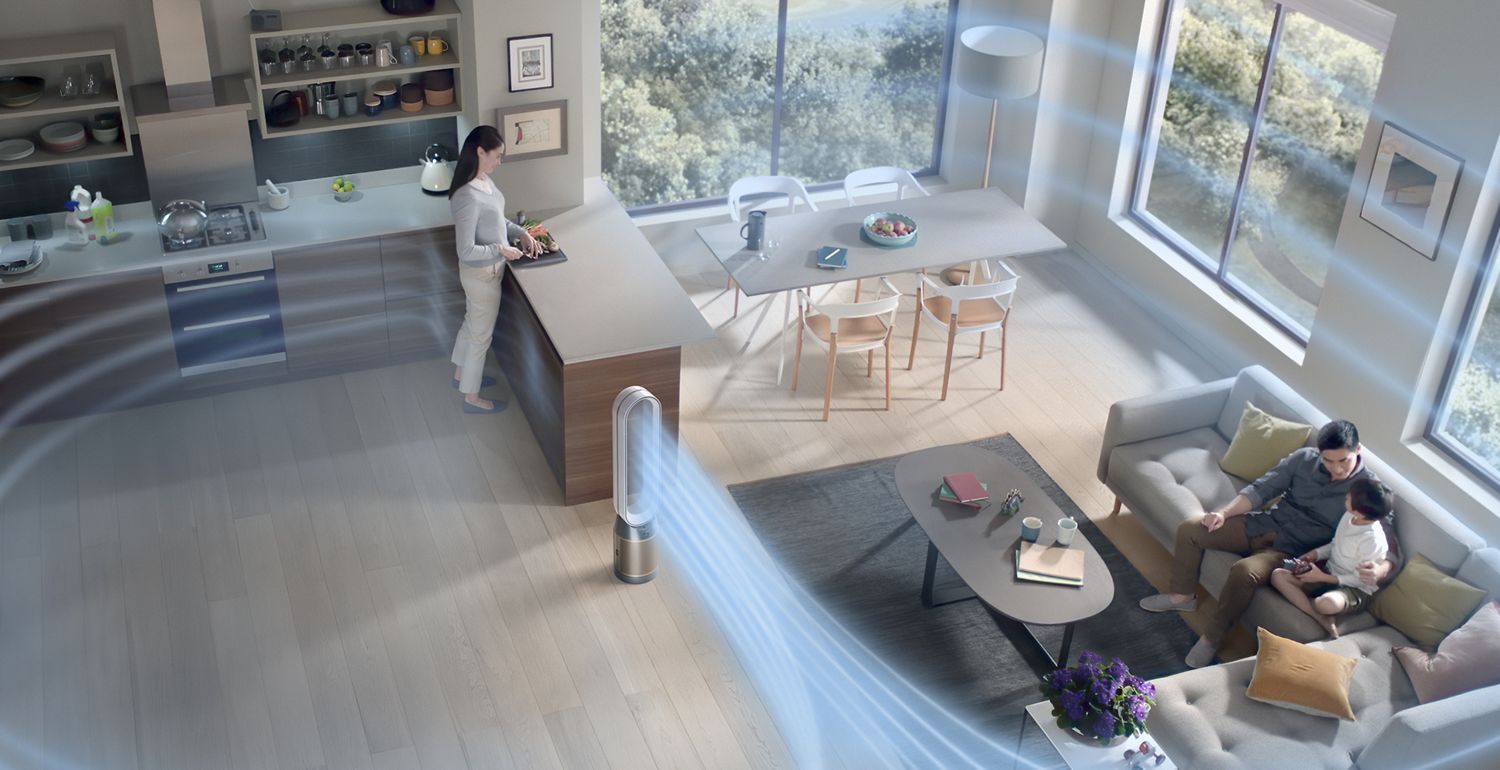 Dyson Outsize vacuum with Hair screw tool attachment cleaning hair from a dog bed.