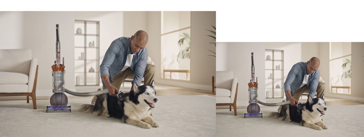 Ball Animal 3 corded vacuum video