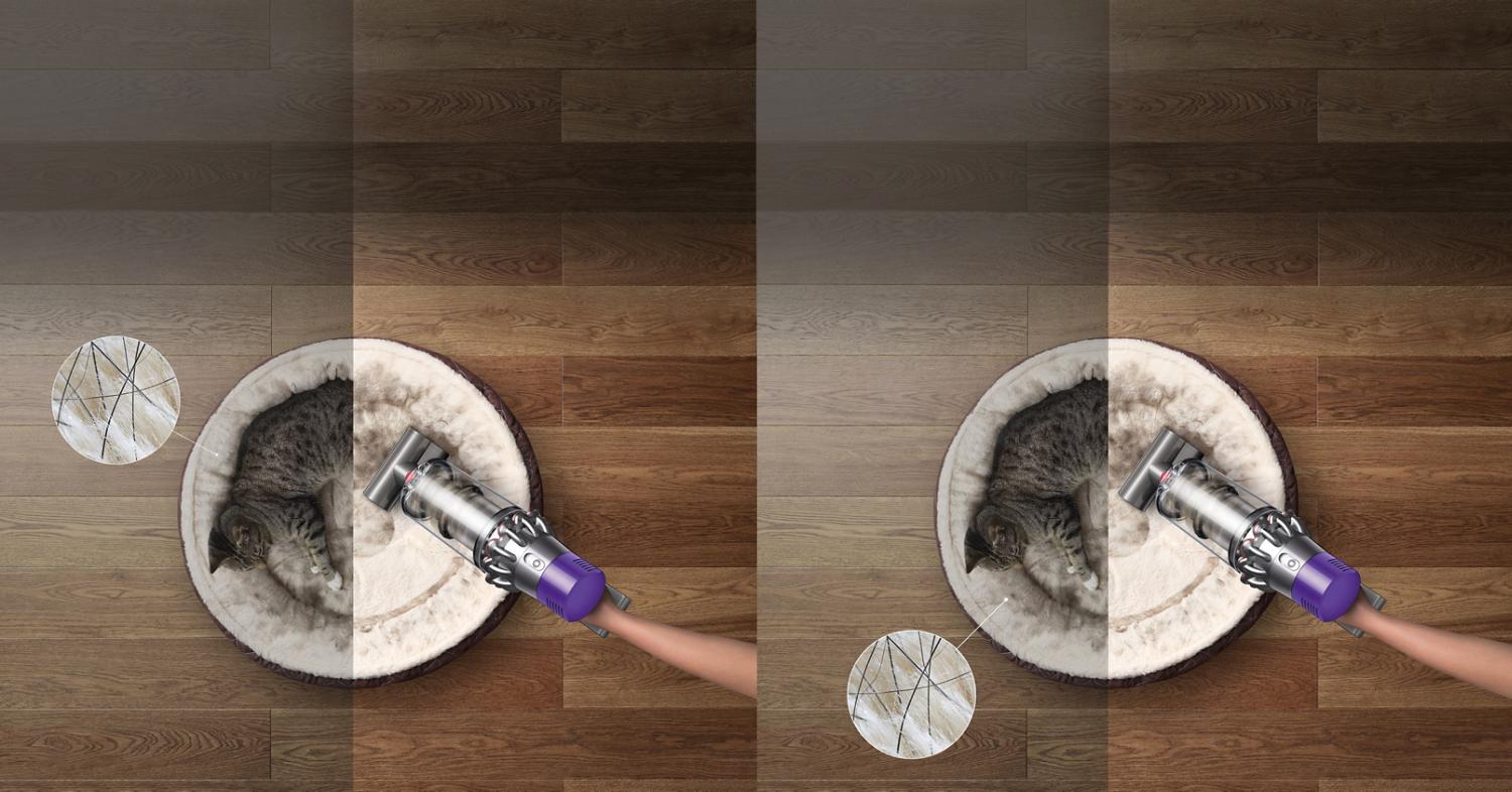 Vacuum cleaner vacuuming cat hair on cat bed