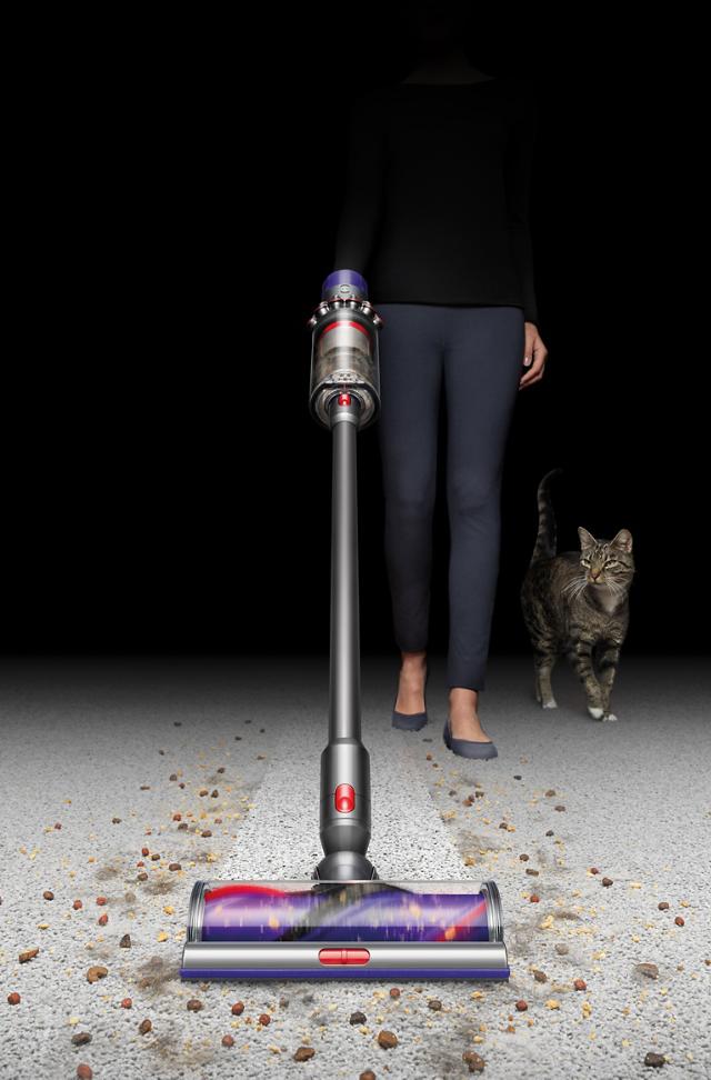 V10 Pet Owners, Vacuum For Pet Hair On Hardwood Floors