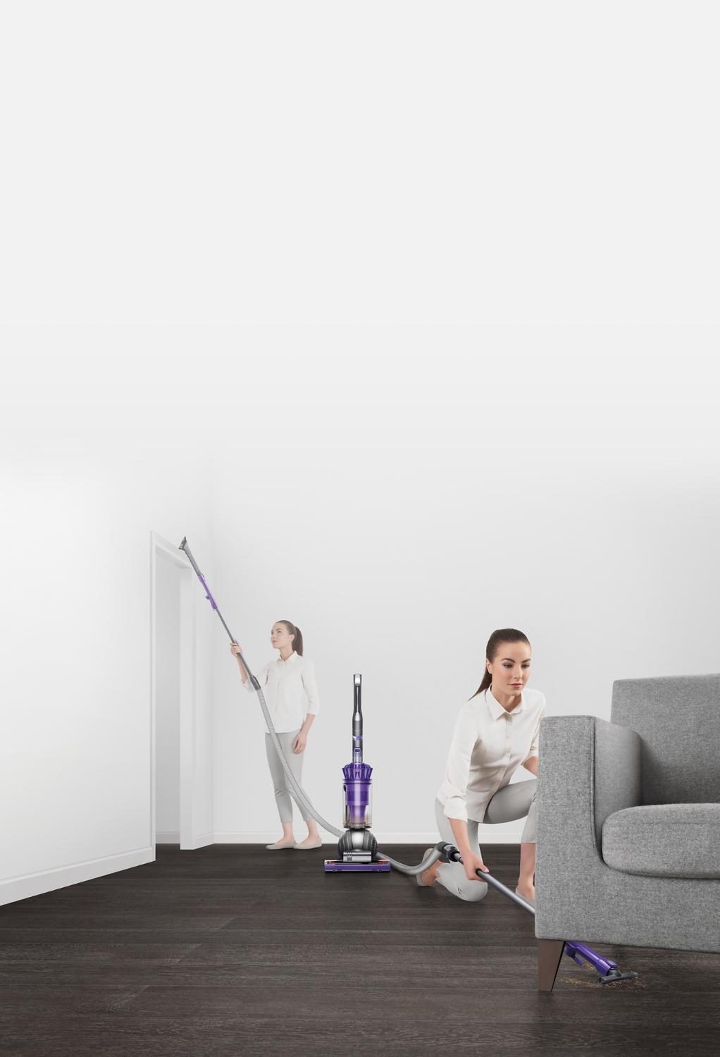 Le Ball Animal 2 Pro pour un nettoyage polyvalent du plancher au plafond