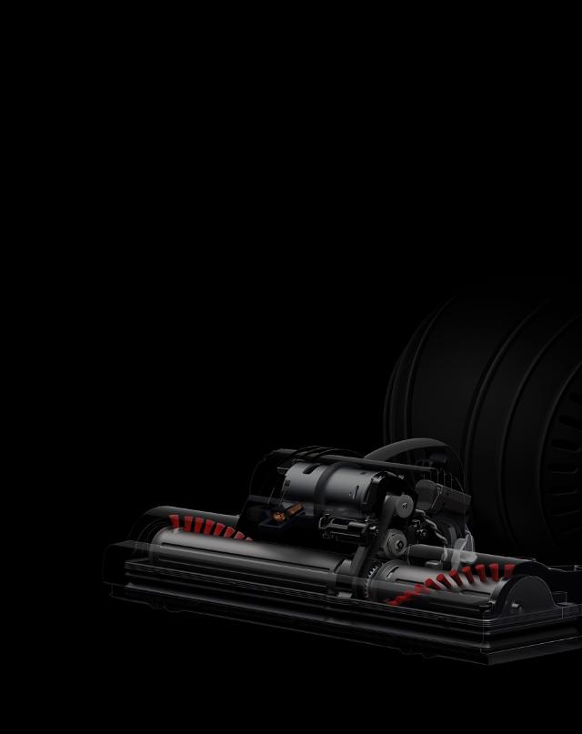 Dyson Ball Animal 2 Upright Corded Vacuum Cleaner Overview Dyson