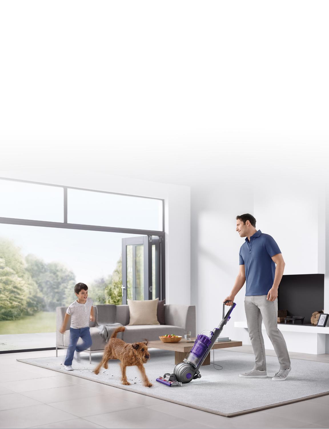 Dyson Ball Animal 2 pet vacuum cleaner vacuuming dog hair