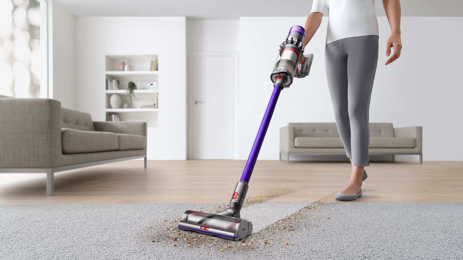 dyson animal cleaner