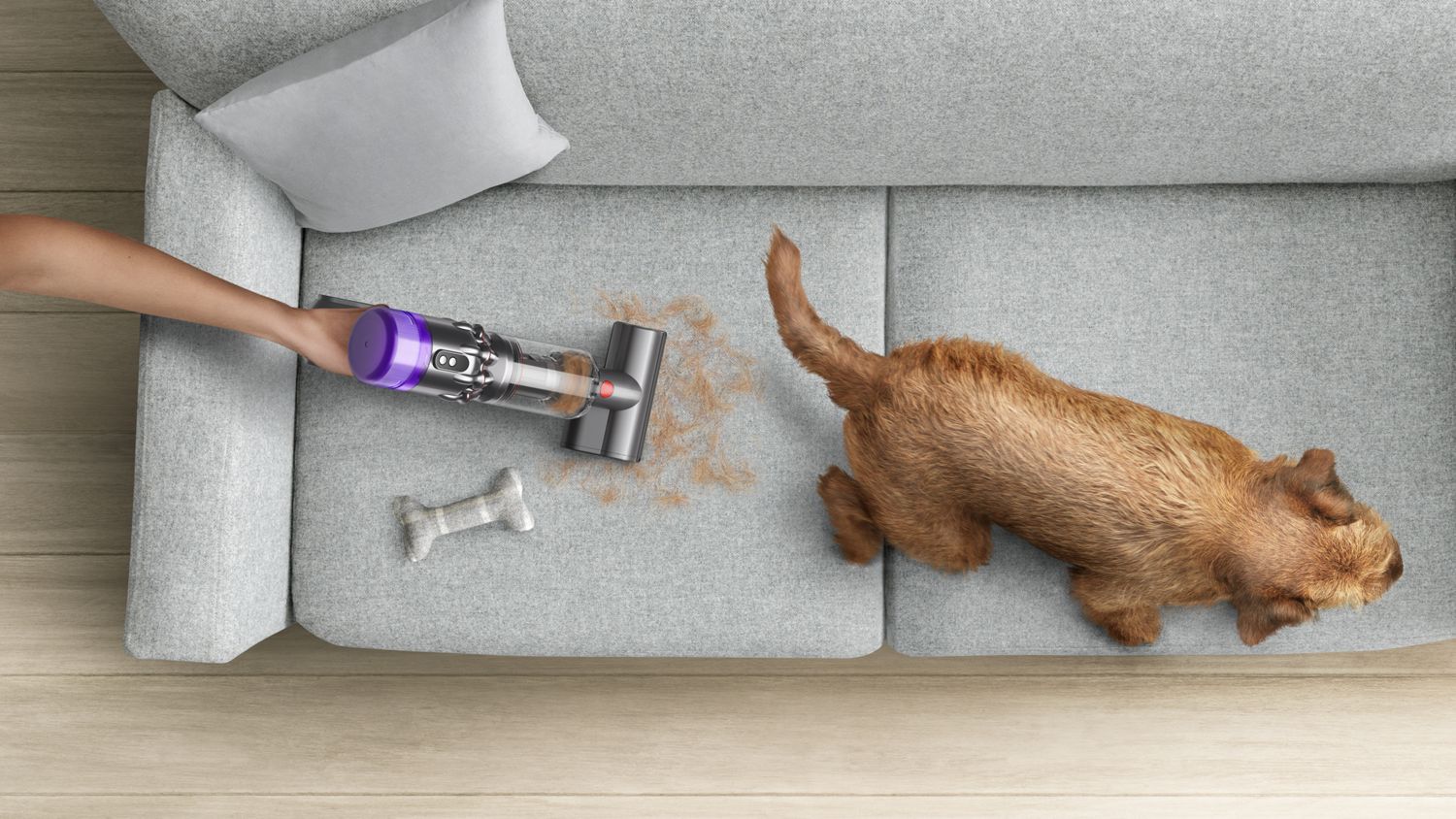 V15 Dyson Aspirateur à main pour les poils de chien sur le canapé