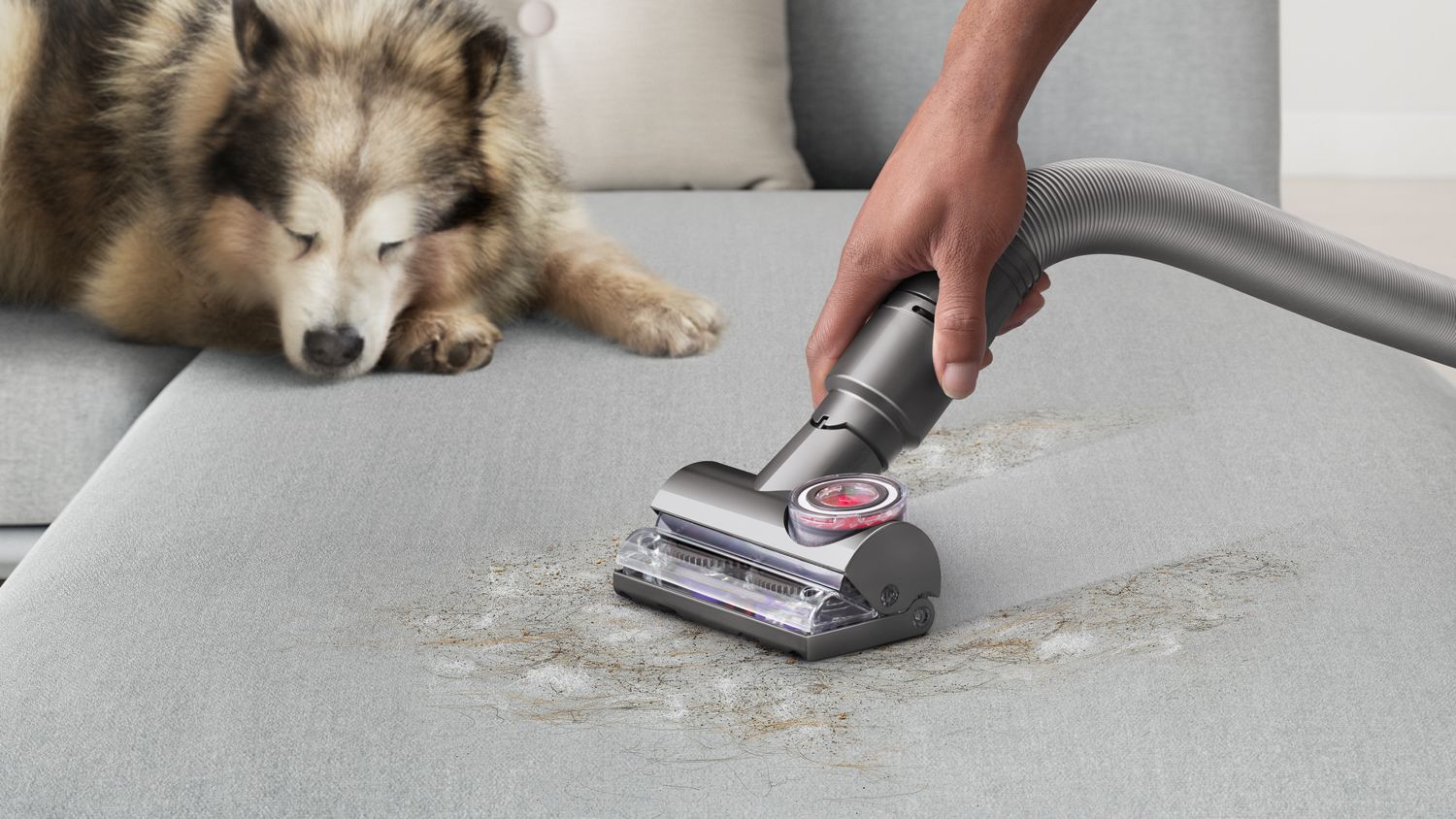Tangle-free turbine tool picking up dog hair on a couch next to a sleeping dog