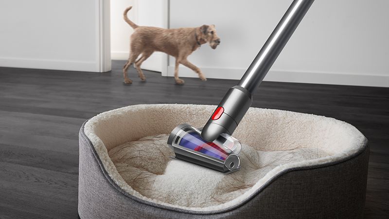 Dyson V10 Animal Cordless Vacuum Cleaner | Purple