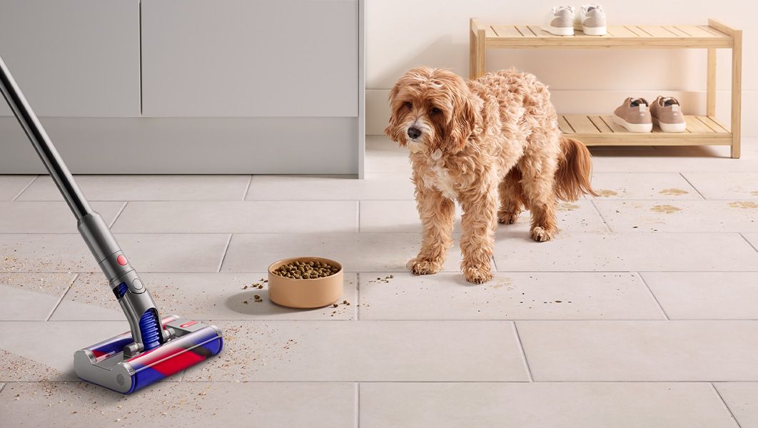 Omnidirectional cleaner head close up Dyson Omni-glide cleaning under chair legs