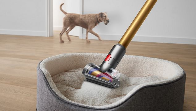 Dyson hair screw tool sucking up hair in a pet bed