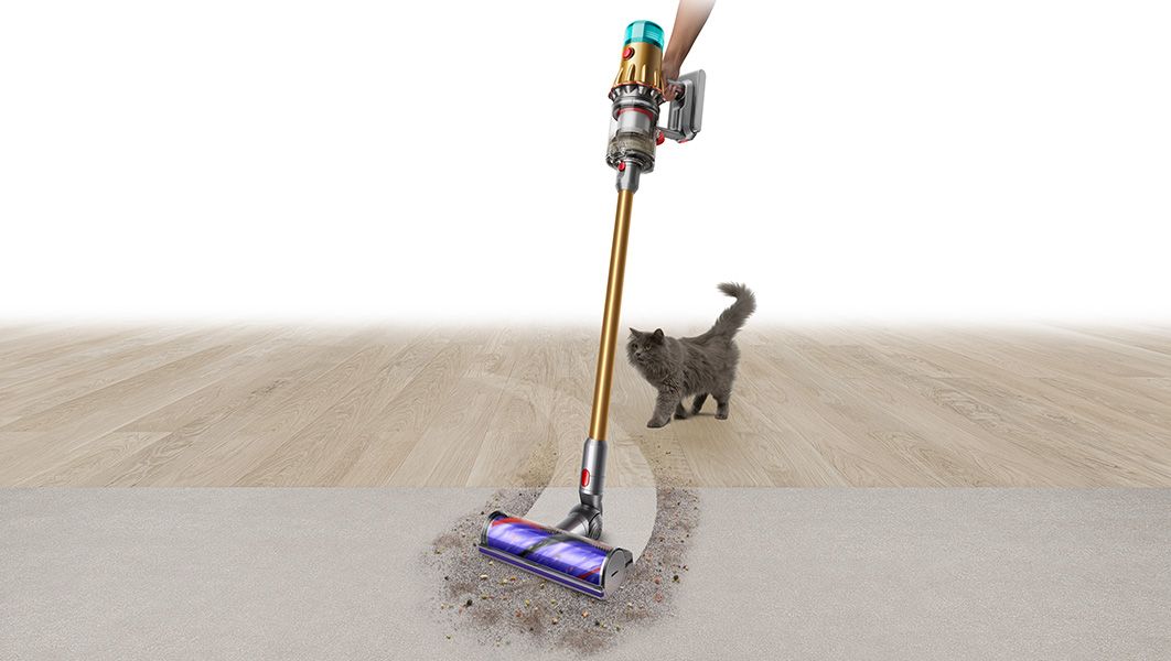 Dyson V12 Detect Slim vacuum picking up dirt with cat in the room