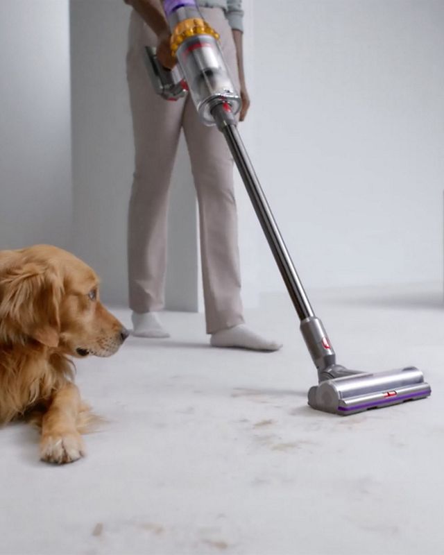 Dyson V12 Detect Slim Cordless Vacuum Cleaner with Five Dyson Engineered  Accessories