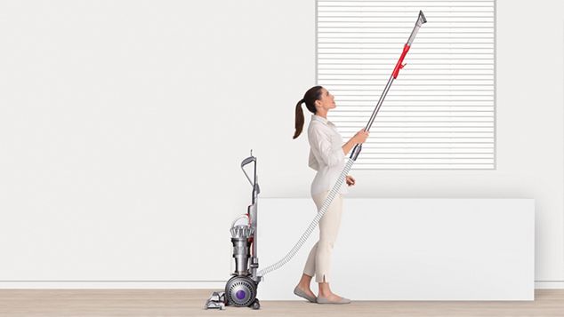 Dyson Ball Animal 2 pet vacuum cleaner instant release wand