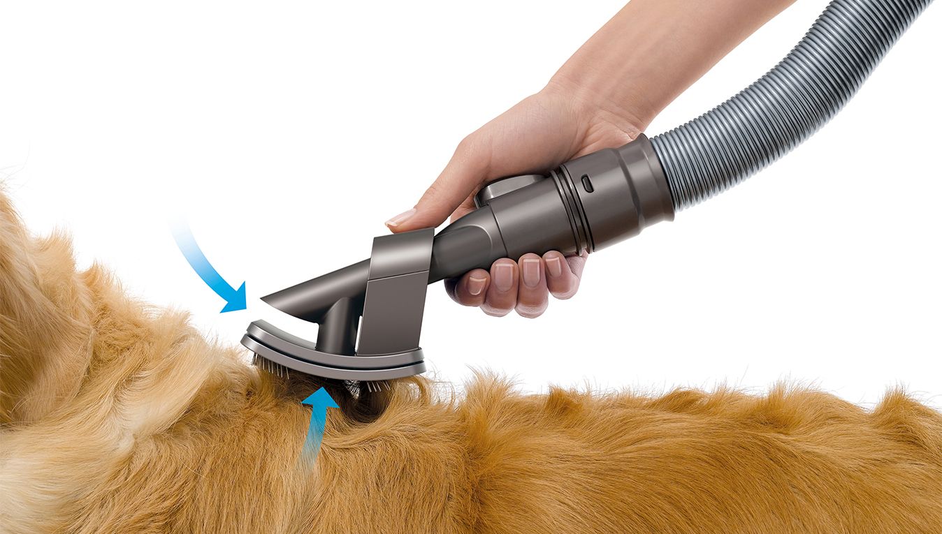 Cinetic Big Ball Animal Pro canister vacuum | Dyson Canada