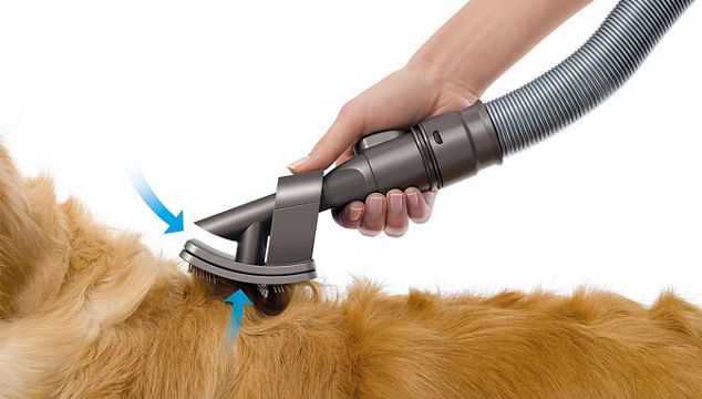 Groom tool demonstrated on dog