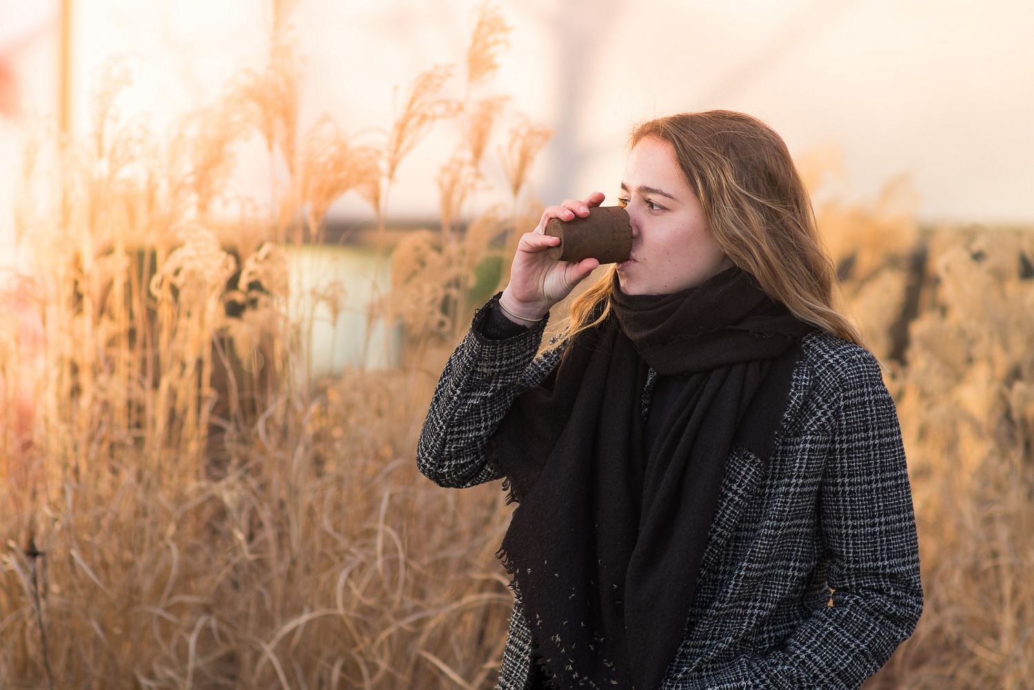 SeedCup JDA Gewinner