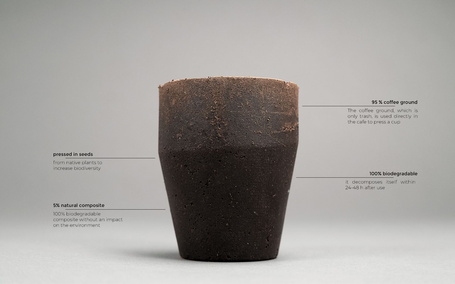 SeedCup JDA Gewinner