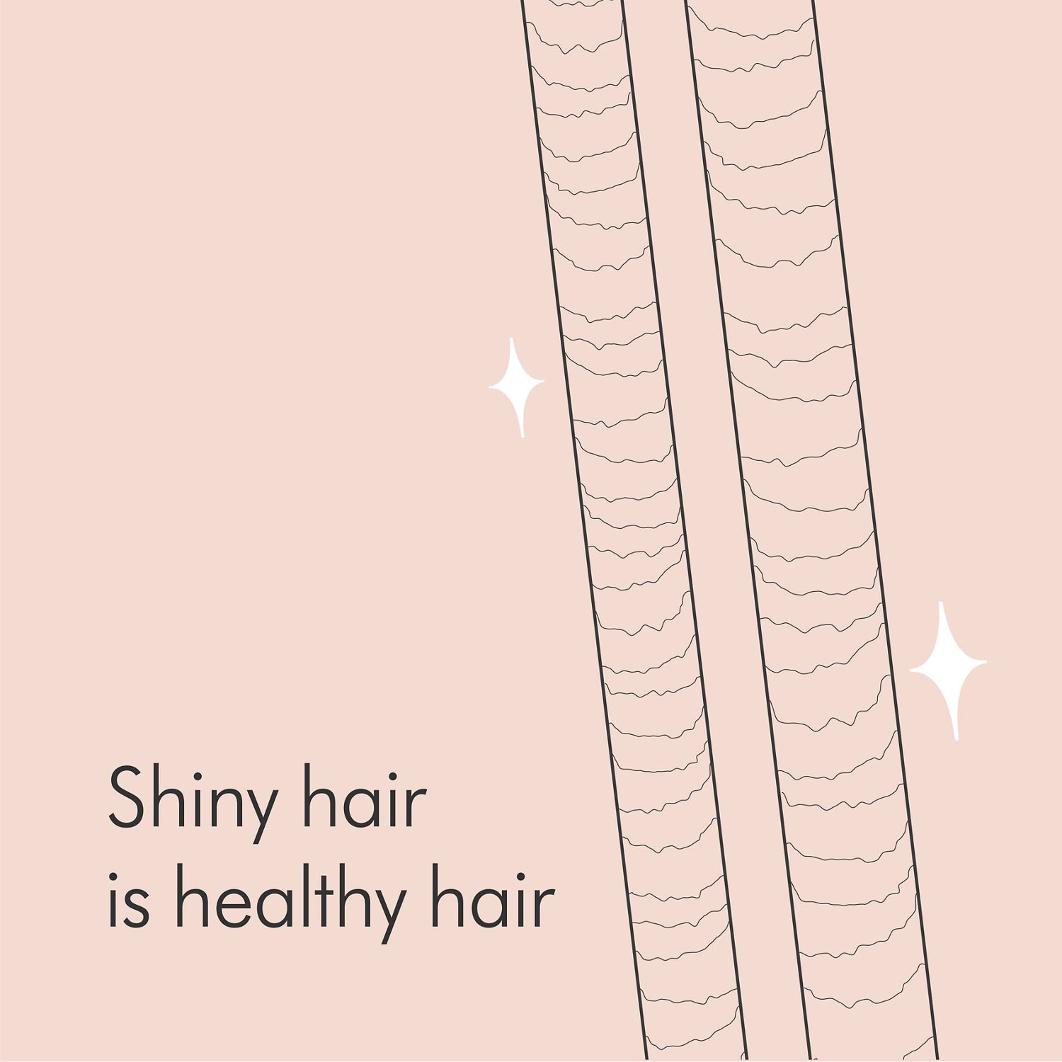 How Does Hair Grow  Lesson for Kids  Studycom